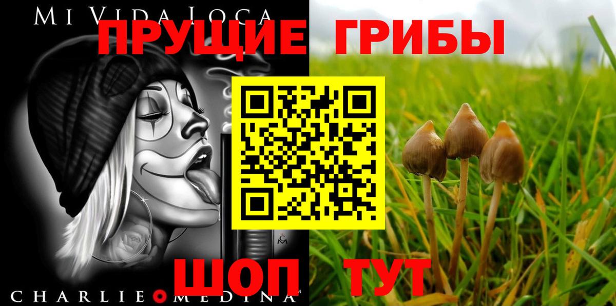 Якутск  Галлюциногенные грибы мицелий  Вход с VPN 